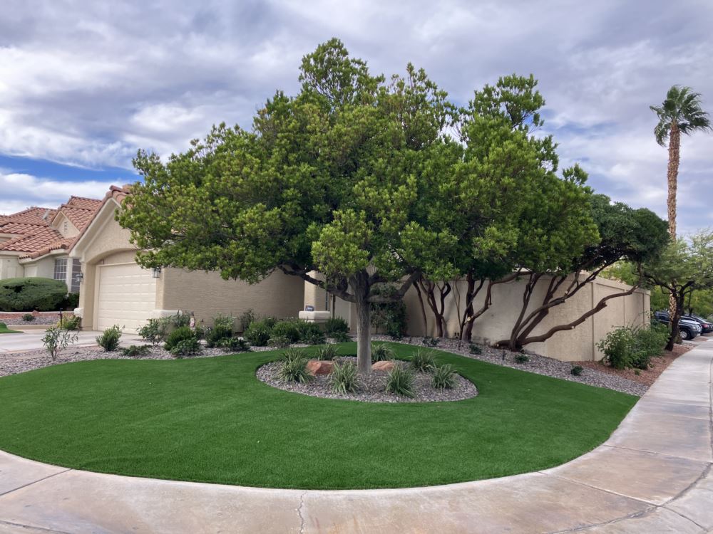 a tree in front of a house with a circle of artificial turf around it