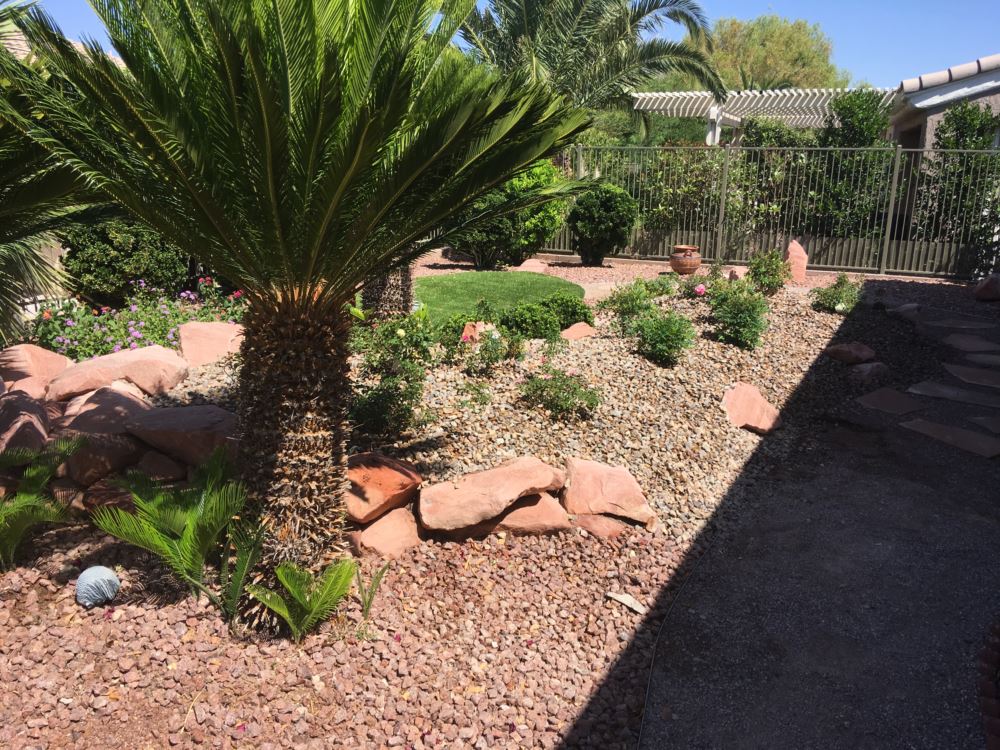 Desert xeriscape front yard featuring a Canary Island date palm, red sandstone boulders, flowering shrubs, and a lush circular artificial turf accent installed by Southwest Greens of Nevada