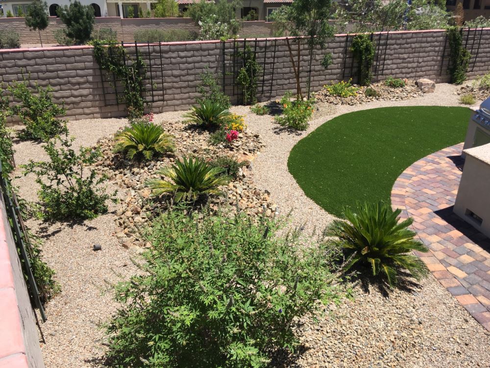 Backyard desert landscape with circular synthetic turf lawn, sago palms, colorful flowering plants, decorative gravel, and paver patio installed by Southwest Greens of Nevada