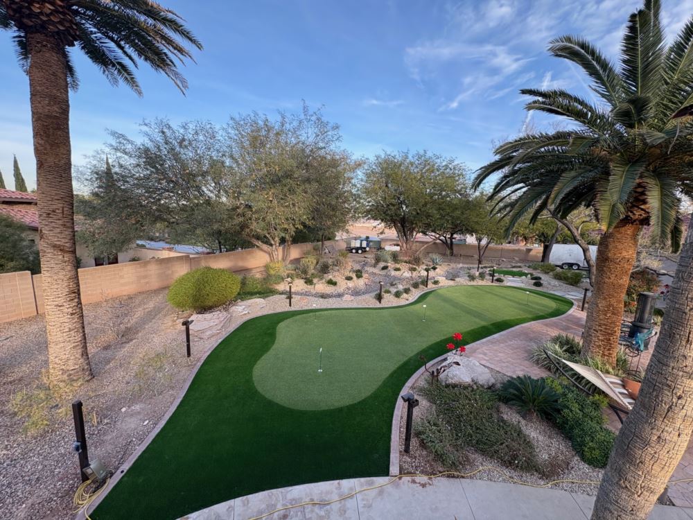 an image of a putting green with palm trees around it