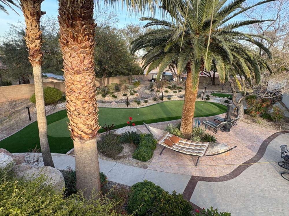 a high shot of a golf green with palm trees around it