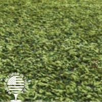 Close-up view of dense artificial grass with tightly woven blades, designed for bocce ball.