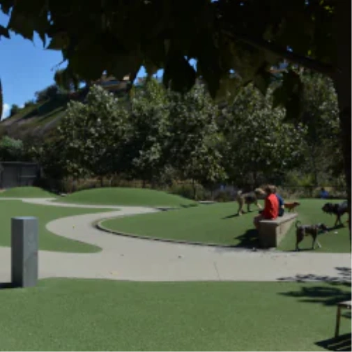 What to Know Prior to When You Spec a Dog Park Surface in Las Vegas