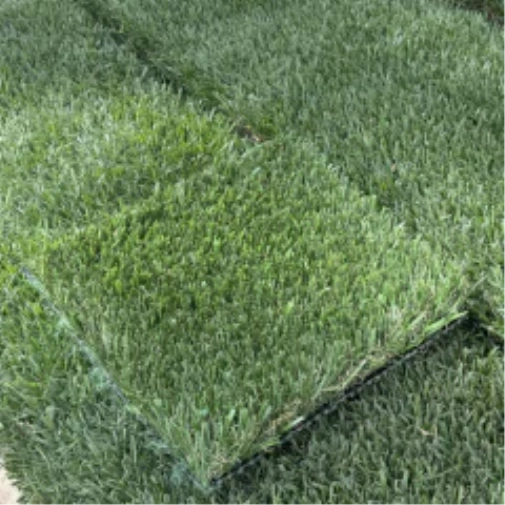 Introducing Wide Blade Turf in Las Vegas