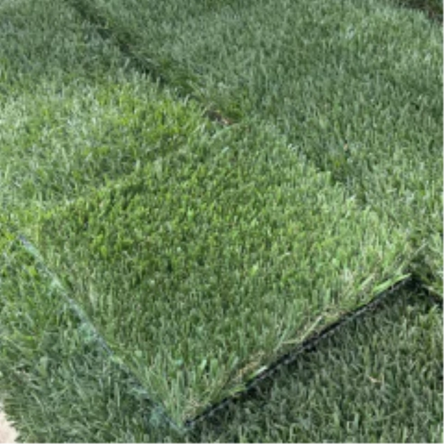 Introducing Wide Blade Turf in Las Vegas