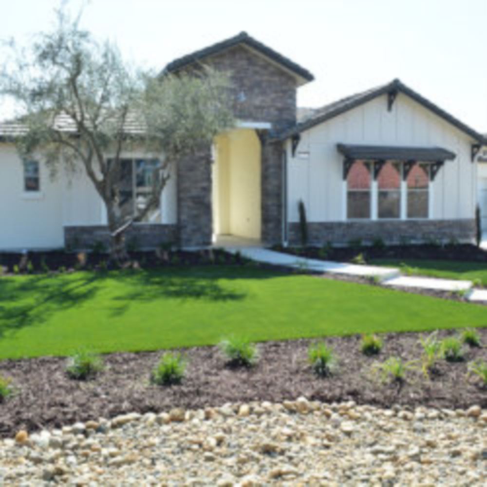 Artificial Lawn Maintenance Tips in Las Vegas