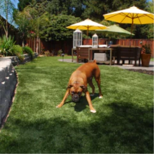 Why fake grass for dogs Improves Your Las Vegas Backyard