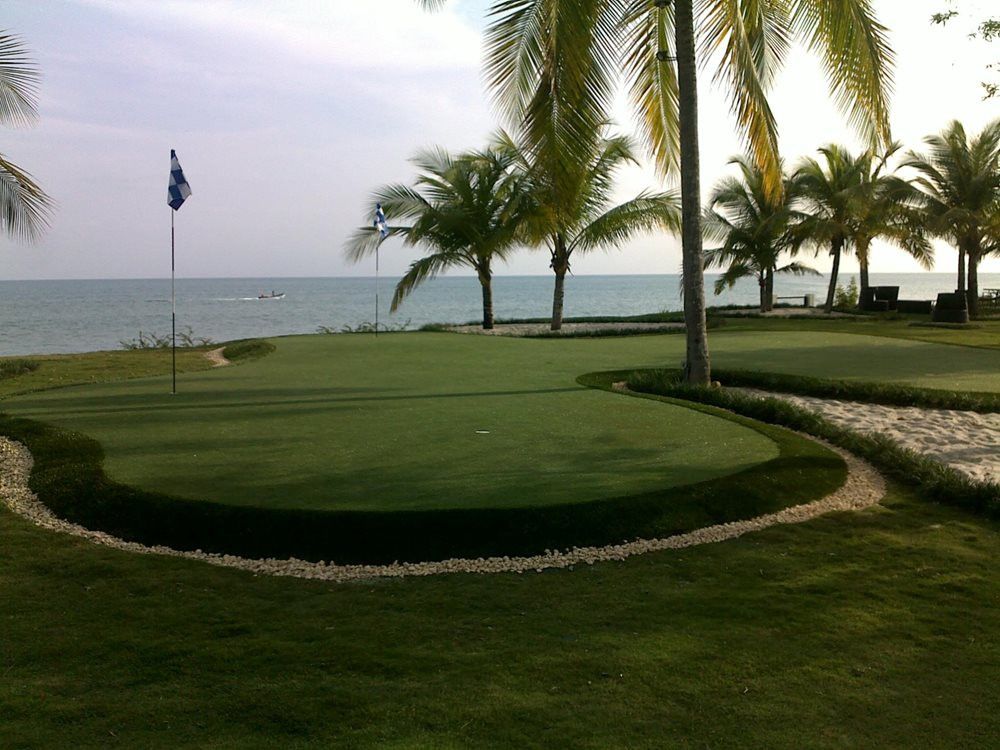Las Vegas artificial grass landscaping