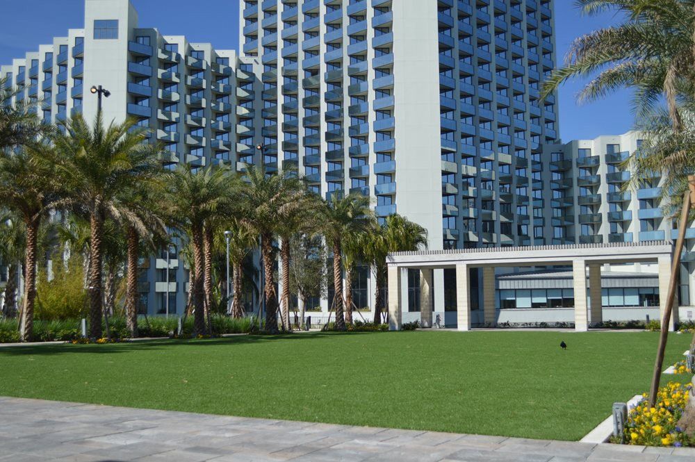 Las Vegas artificial grass landscaping