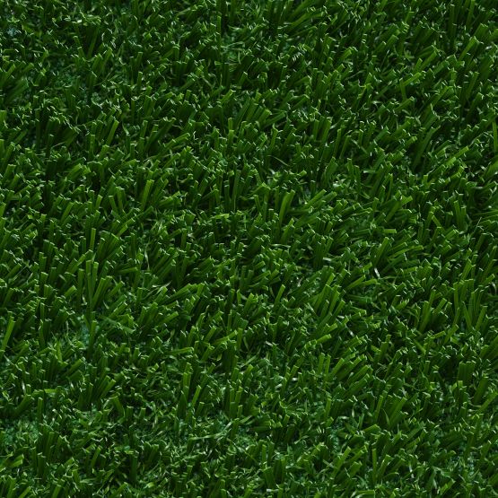 Bolt Landscape turf by Southwest Greens of Nevada