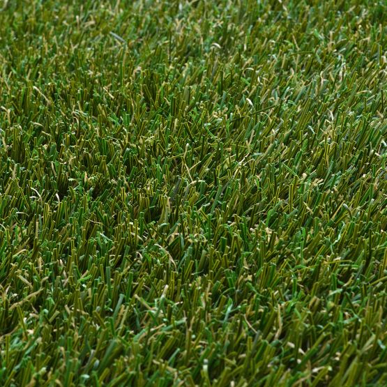 Bolt Natural turf by Southwest Greens of Nevada