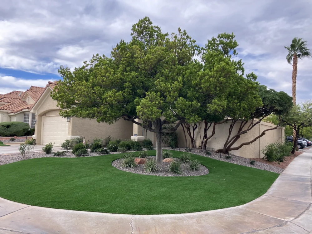 PROJECT HIGHLIGHT: An Elegant Nevada Yard & Pet Area