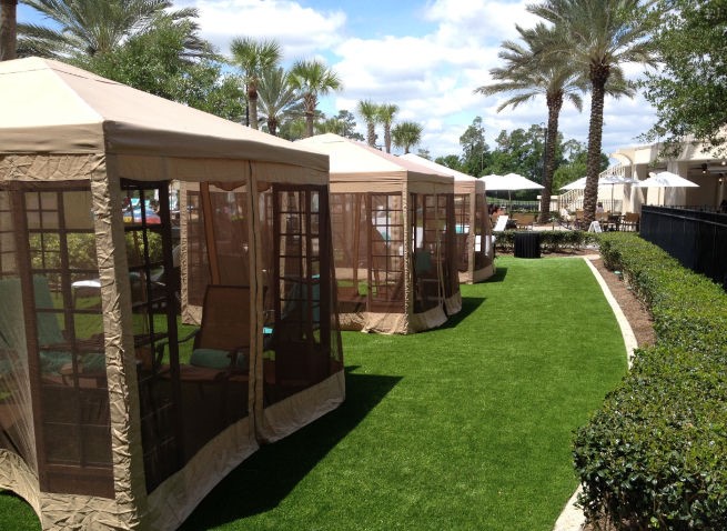 Las Vegas commercial landscape turf