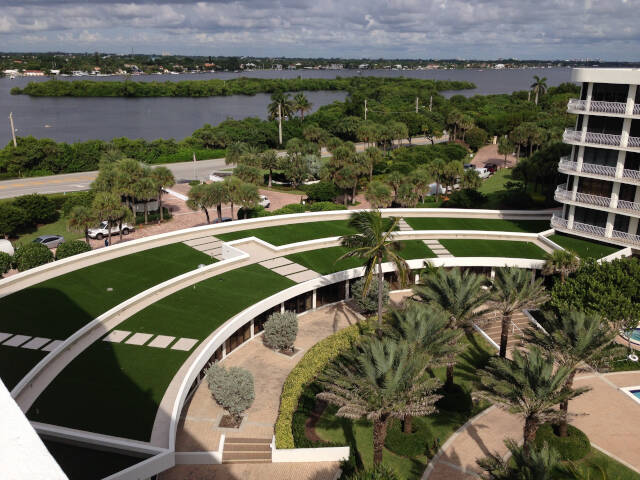 Las Vegas commercial landscape turf